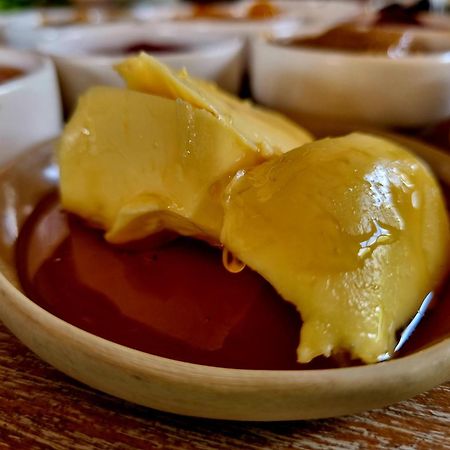 Olea Sigacik Pansiyon & Bistro Seferihisar Kültér fotó