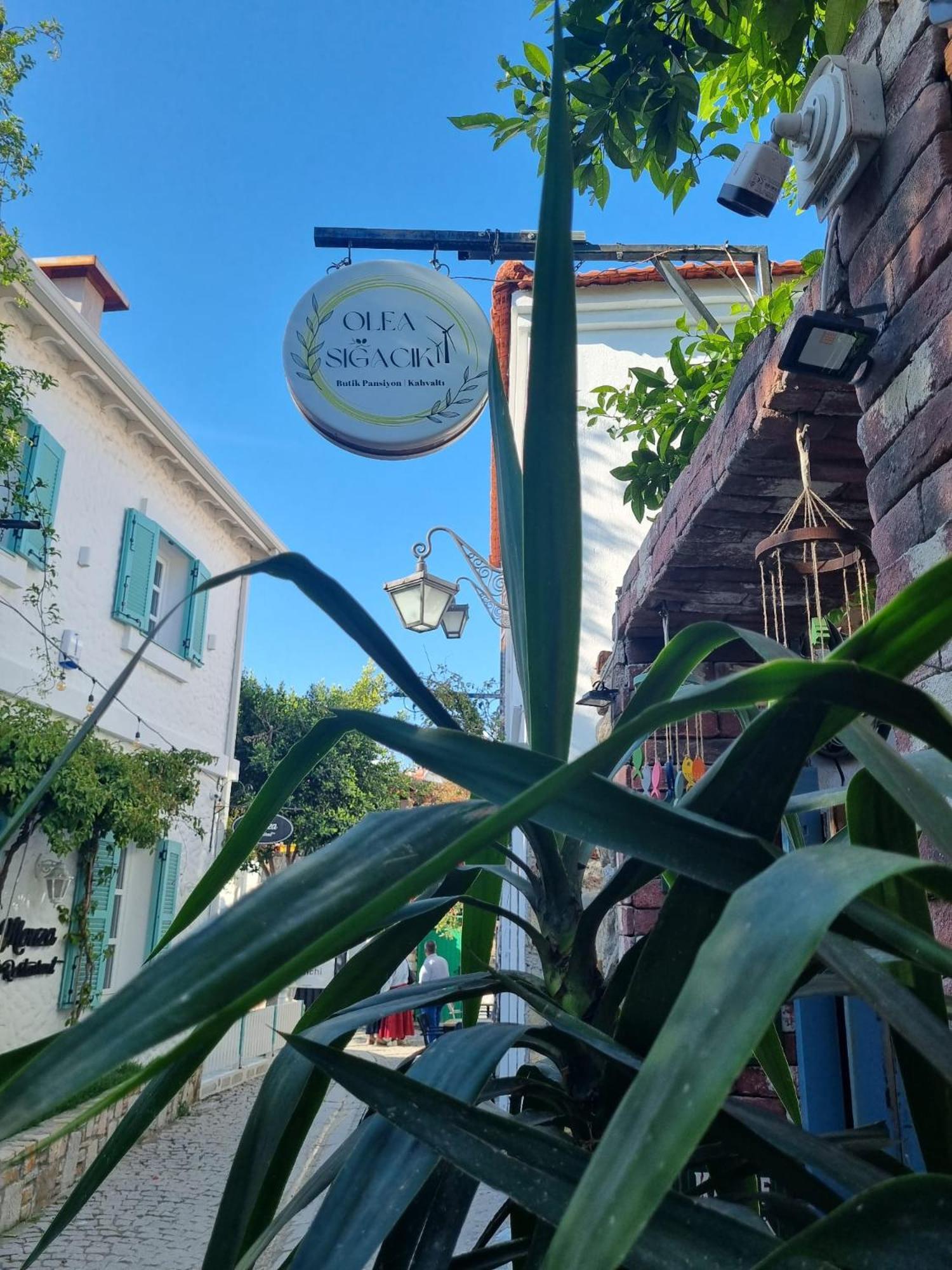 Olea Sigacik Pansiyon & Bistro Seferihisar Kültér fotó