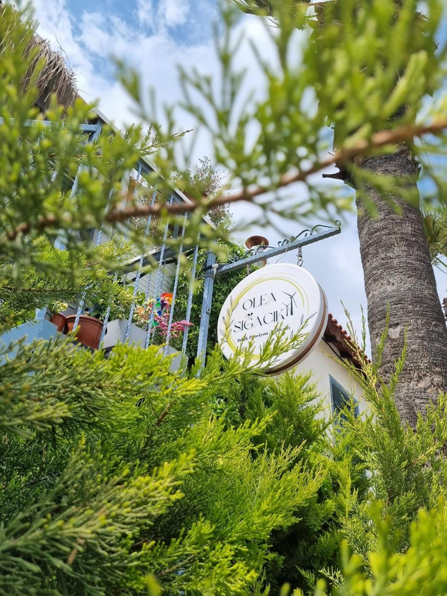 Olea Sigacik Pansiyon & Bistro Seferihisar Kültér fotó